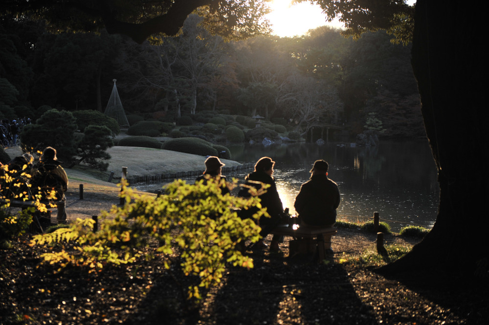 １２月６日　六義園の紅葉_a0094711_01022.jpg