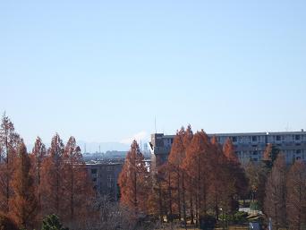 c0164212_9555575.jpg