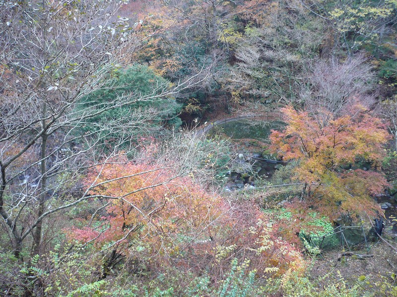 f0182513_21192029.jpg