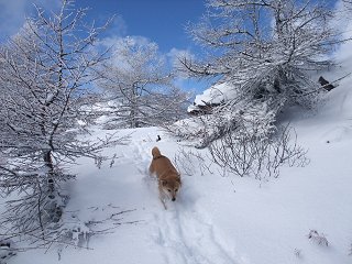 12/6　本格雪山_d0143214_23104991.jpg