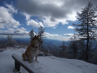 12/6　本格雪山_d0143214_239595.jpg