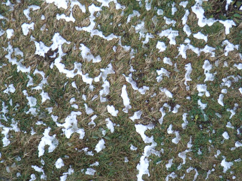 二十四節季「大雪」を過ぎて_c0025115_20454881.jpg