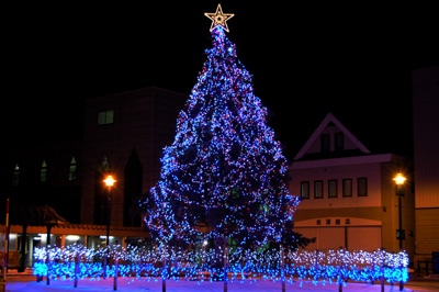 クリスマスツリー_f0096216_21263999.jpg