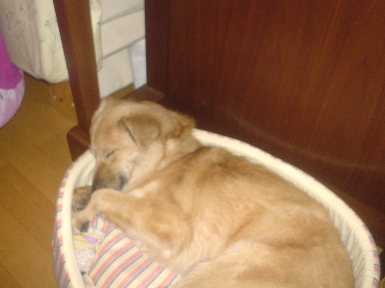 c0150520_14212129.jpg