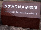 c0166720_20561189.jpg