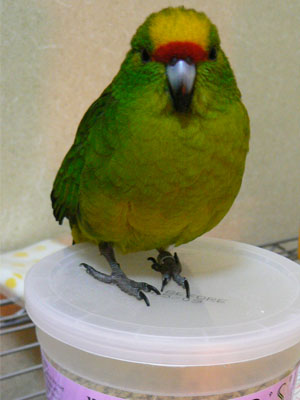 e0148120_4593340.jpg