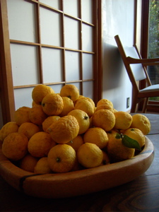 f0147922_12432113.jpg