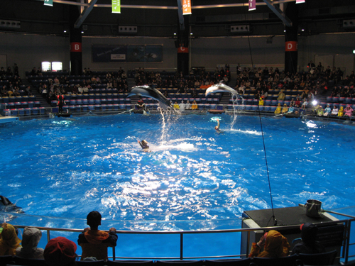 f0130030_3223478.jpg