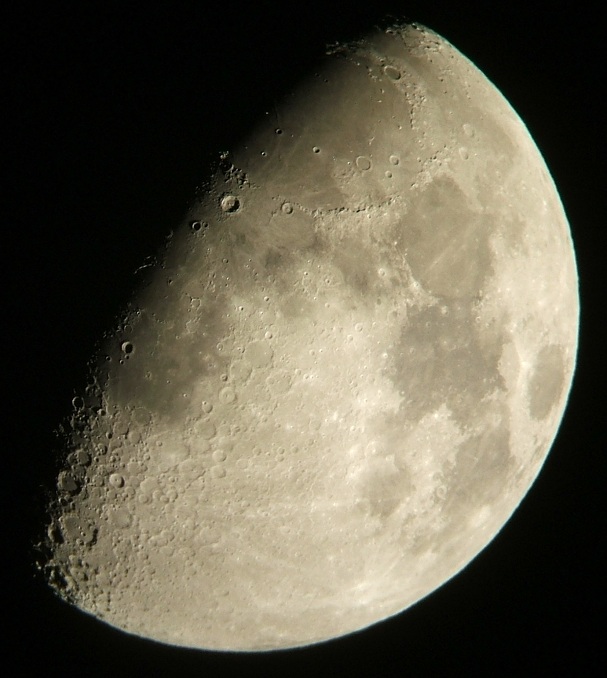 e0089232_22102011.jpg