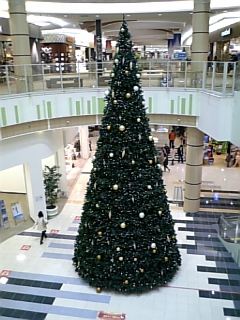 e0145332_21513018.jpg