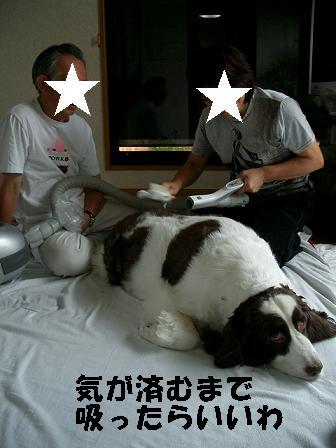 c0179136_3114397.jpg