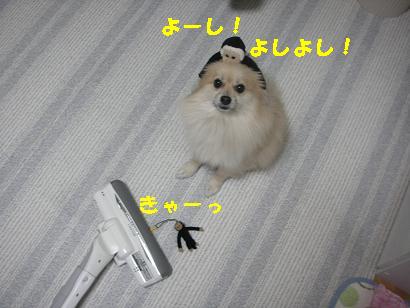 c0179136_3123293.jpg