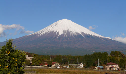 a0056140_14388.jpg