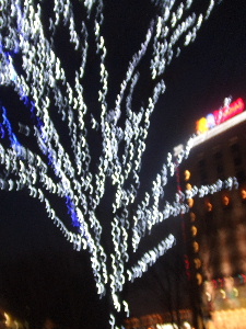 e0121548_2142286.jpg