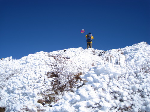 c0179351_85512.jpg