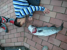 e0020752_21281288.jpg