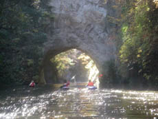 e0020752_21295062.jpg