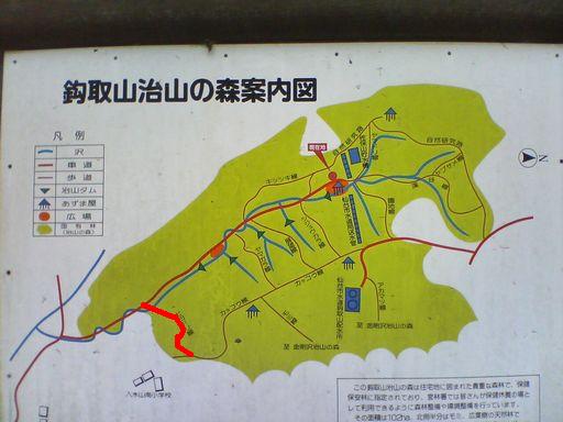 a0096557_6533624.jpg