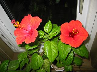 c0120360_13171567.jpg