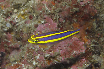 2008/12/07 Sun._e0158261_828224.jpg