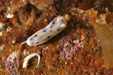 2008/12/07 Sun._e0158261_8411532.jpg