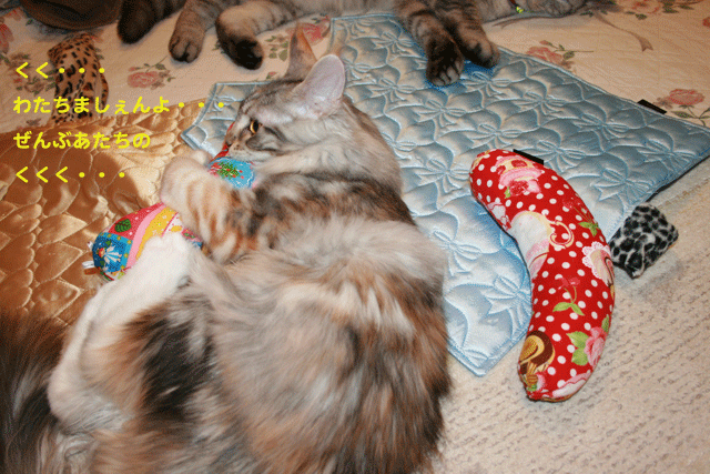 e0158561_21374542.gif
