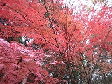 a0093965_20212631.jpg