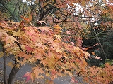 a0093965_20214734.jpg