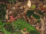 a0093965_21171279.jpg