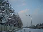c0148270_1034463.jpg