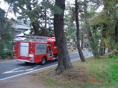 ①コスモスとのお別れ　　②キウイフルーツ収穫_d0007071_1813548.jpg