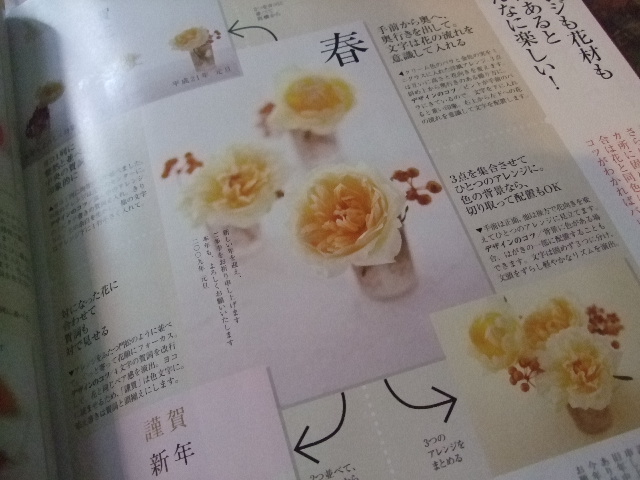 オークリーフ(花時間1月号)_f0049672_14254275.jpg