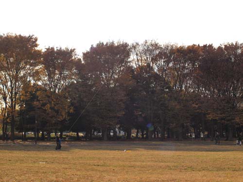 武蔵野の空に風が吹く・・・_e0147575_2393021.jpg