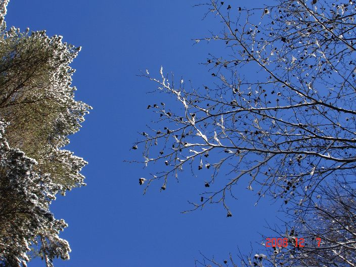 f0124378_21301340.jpg