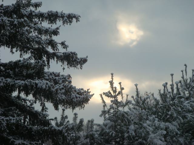 雪の日は鮭の粕汁でポカポカ、_d0100880_20595562.jpg