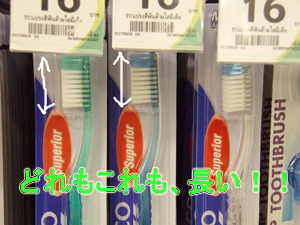なんでこんなに長いの?_f0144385_14163899.jpg