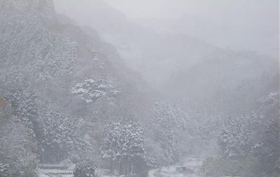 冬の味覚_c0092689_19293234.jpg