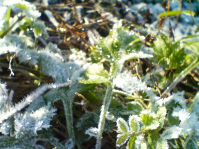 f0077595_17472690.jpg