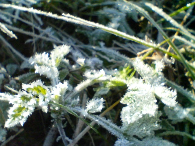 f0077595_17472698.jpg