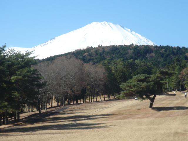 a0063997_812794.jpg