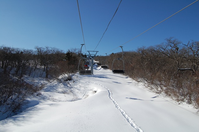 c0115700_11571356.jpg