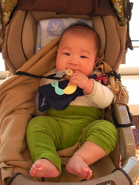 f0038407_2313781.jpg