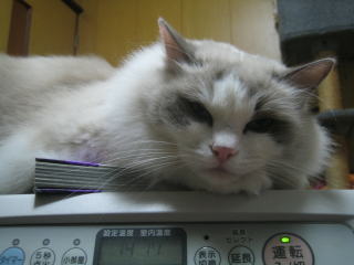 c0024410_22213385.jpg