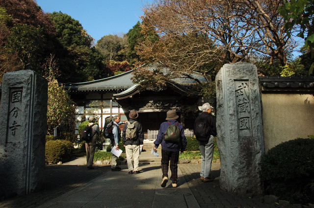 晩秋の武蔵国分寺、お鷹の道_c0047919_1534154.jpg