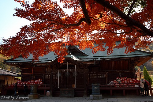 少林山達磨寺_c0136926_1447538.jpg