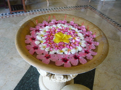 f0005826_21501820.jpg