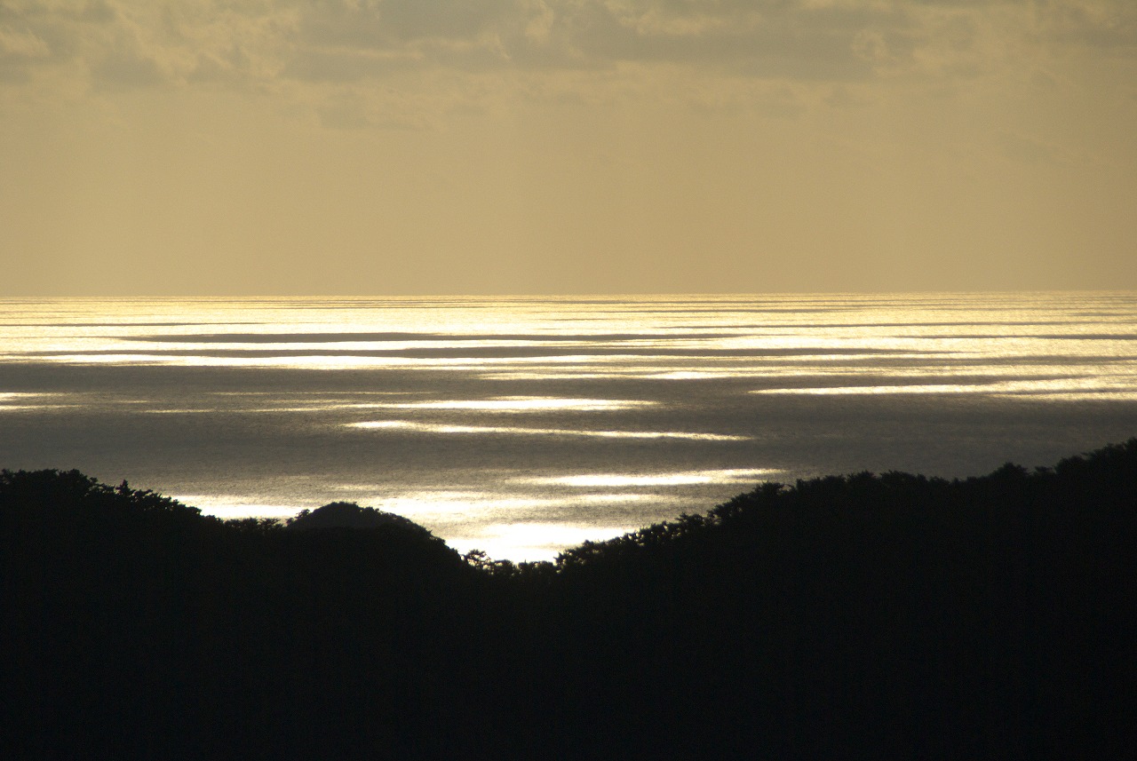 d0053930_185754.jpg