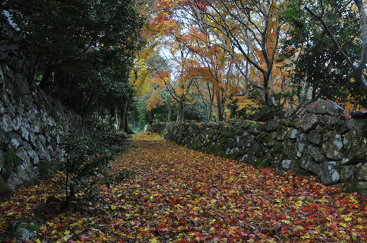 神宮寺Ⅱ_c0093046_748285.gif