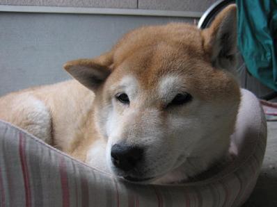 1年の間に_c0049950_15284669.jpg