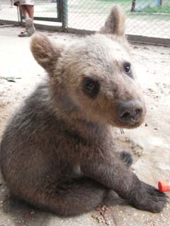 ルハン動物園☆_e0130754_19201033.jpg